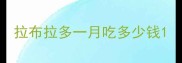 拉布拉多一月吃多少钱