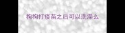 狗狗打疫苗之后可以洗澡么