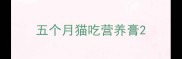 五个月猫吃营养膏
