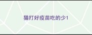猫打好疫苗吃的少