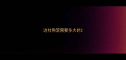 边牧狗笼需要多大的