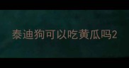 泰迪狗可以吃黄瓜吗