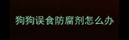 狗狗误食防腐剂怎么办