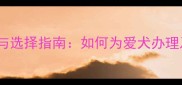 狗狗血统证书办理流程与选择指南如何为爱犬办理及验证真伪的完整攻略