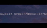 泰迪犬睡觉姿势常见睡姿背后的健康密码与科学养护指南