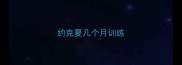 约克夏几个月训练
