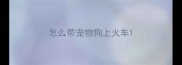 怎么带宠物狗上火车