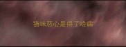 猫咪恶心是得了啥病