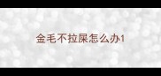 金毛不拉屎怎么办