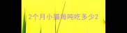 2个月小猫每吨吃多少