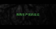 狗狗生产完的反应