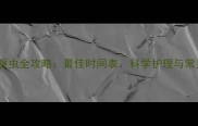 泰迪犬驱虫全攻略最佳时间表科学护理与常见误区