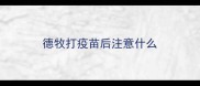 德牧打疫苗后注意什么