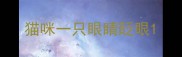 猫咪一只眼睛眨眼