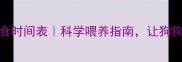 拉布拉多喂食时间表科学喂养指南让狗狗更健康快乐