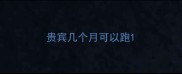 贵宾几个月可以跑
