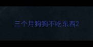 三个月狗狗不吃东西