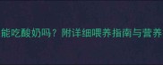 幼犬泰迪能吃酸奶吗附详细喂养指南与营养搭配技巧