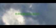 怎样收集拉布拉多的牙