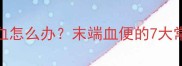 猫咪排泄物末端带血怎么办末端血便的7大常见原因及应对措施