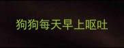 狗狗每天早上呕吐