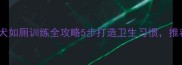 拉布拉多幼犬如厕训练全攻略5步打造卫生习惯推荐高效方法