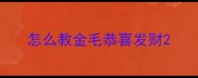 怎么教金毛恭喜发财