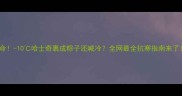 救命-10哈士奇裹成粽子还喊冷全网最全抗寒指南来了