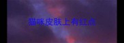 猫咪皮肤上有红点