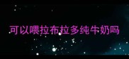 可以喂拉布拉多纯牛奶吗