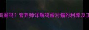 猫咪可以吃鸡蛋吗营养师详解鸡蛋对猫的利弊及正确喂食方法