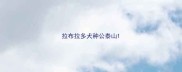 拉布拉多犬种公泰山