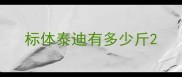 标体泰迪有多少斤