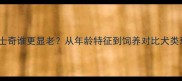 金毛和哈士奇谁更显老从年龄特征到饲养对比犬类衰老规律