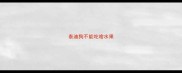泰迪狗不能吃啥水果