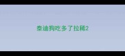 泰迪狗吃多了拉稀