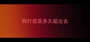 狗打疫苗多久能出去