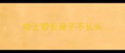 哈士奇长身子不长头