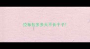 拉布拉多多大不长个子