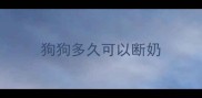 狗狗多久可以断奶