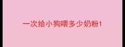 一次给小狗喂多少奶粉