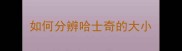 如何分辨哈士奇的大小