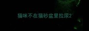 猫咪不在猫砂盆里拉尿