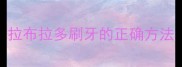 拉布拉多刷牙的正确方法