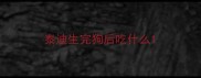 泰迪生完狗后吃什么