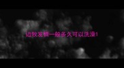 边牧发情一般多久可以洗澡
