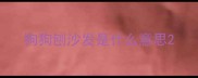 狗狗刨沙发是什么意思