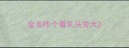 金毛咋个看乳头变大