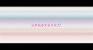 拉布拉多犬多久长大