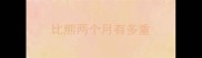 比熊两个月有多重